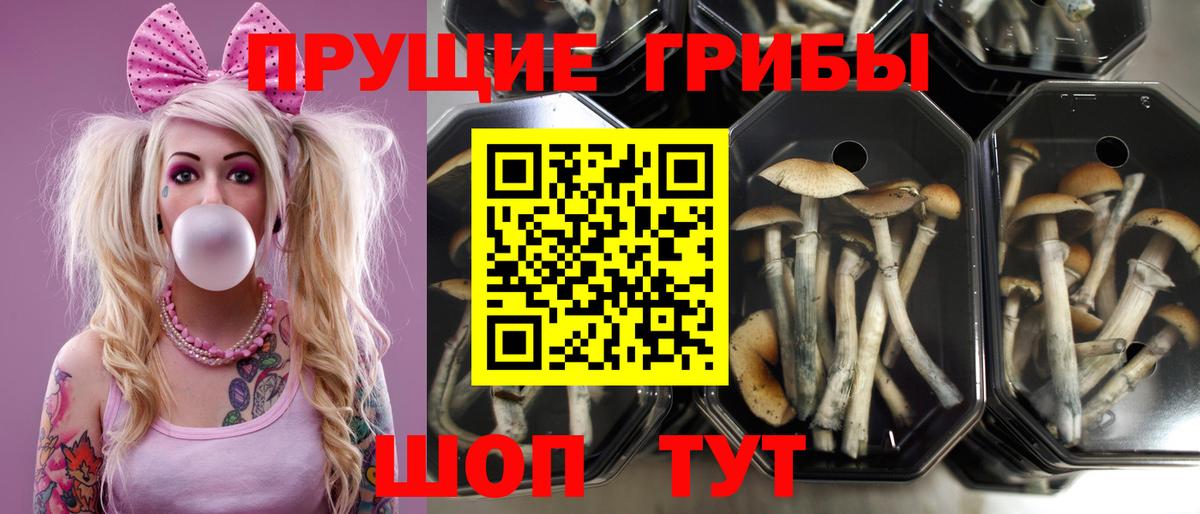 Галлюциногенные грибы Magic Shrooms Астрахань