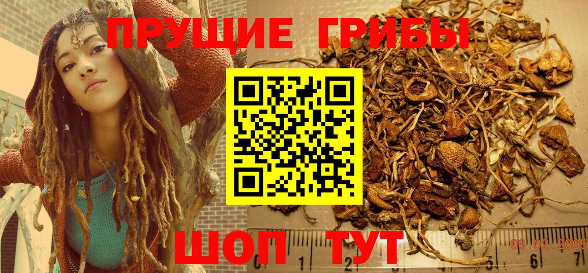 Астрахань  Галлюциногенные грибы GOLDEN TEACHER  Вход с VPN 